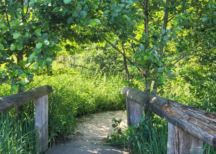 Weekend ルシノボ